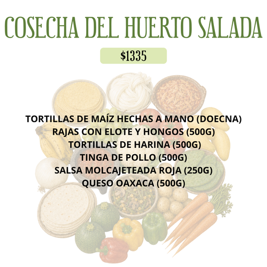 COSECHA DEL HUERTO SALADA