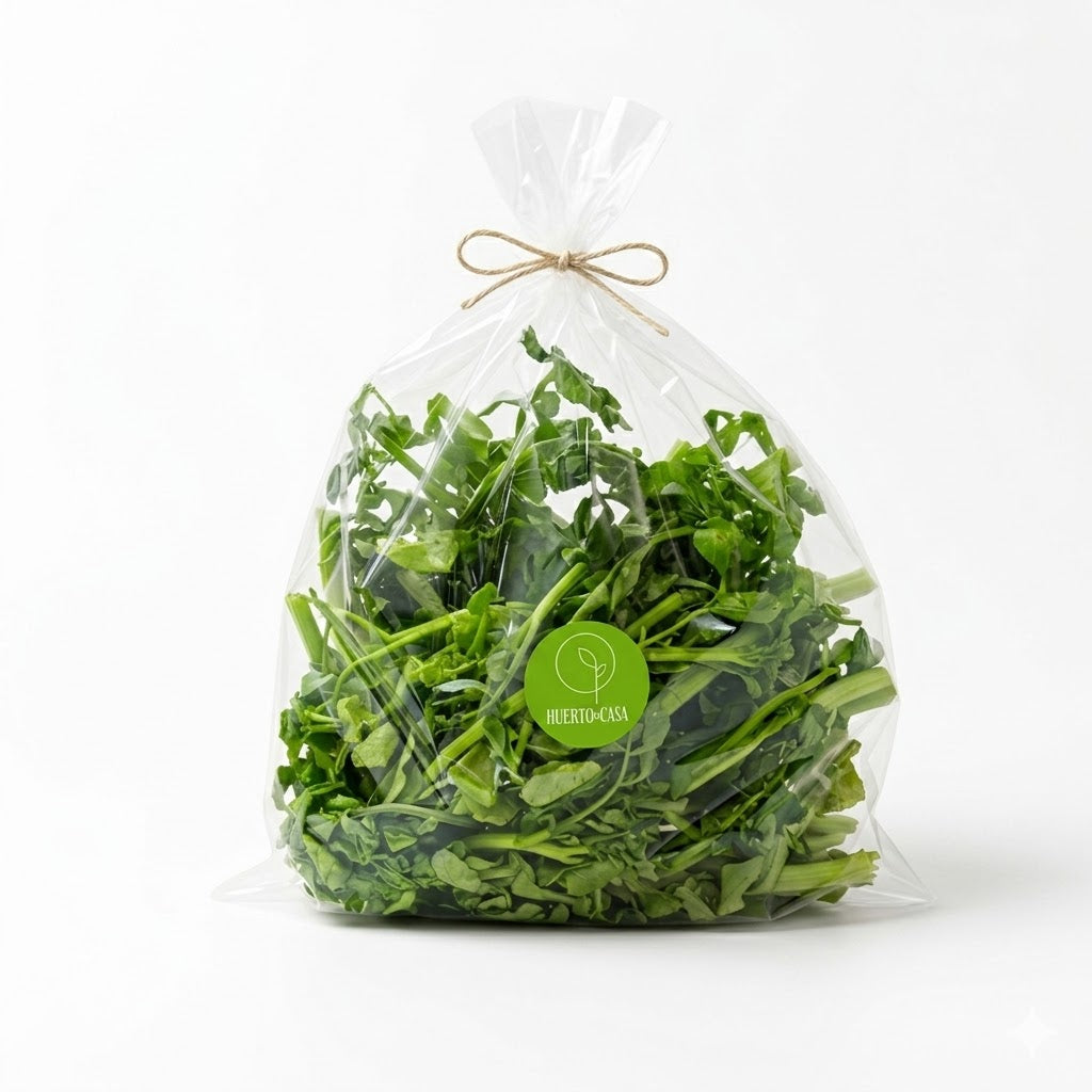 ARUGULA BABY LISTA PARA CONSUMIR