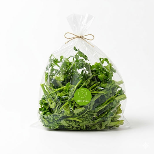 ARUGULA BABY LISTA PARA CONSUMIR