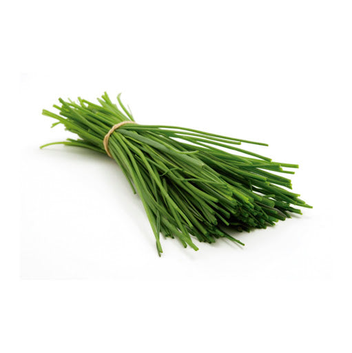 CEBOLLIN