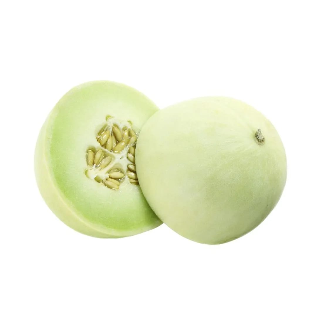 MELON VALENCIANO